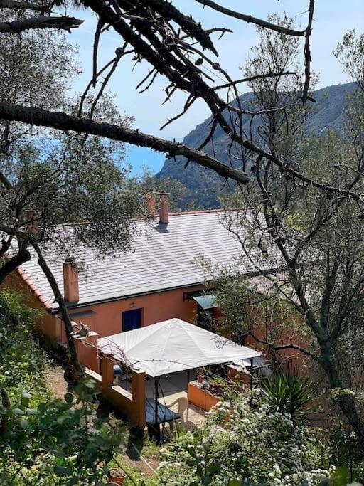 La Gaiada Villa Monterosso al Mare Exterior foto