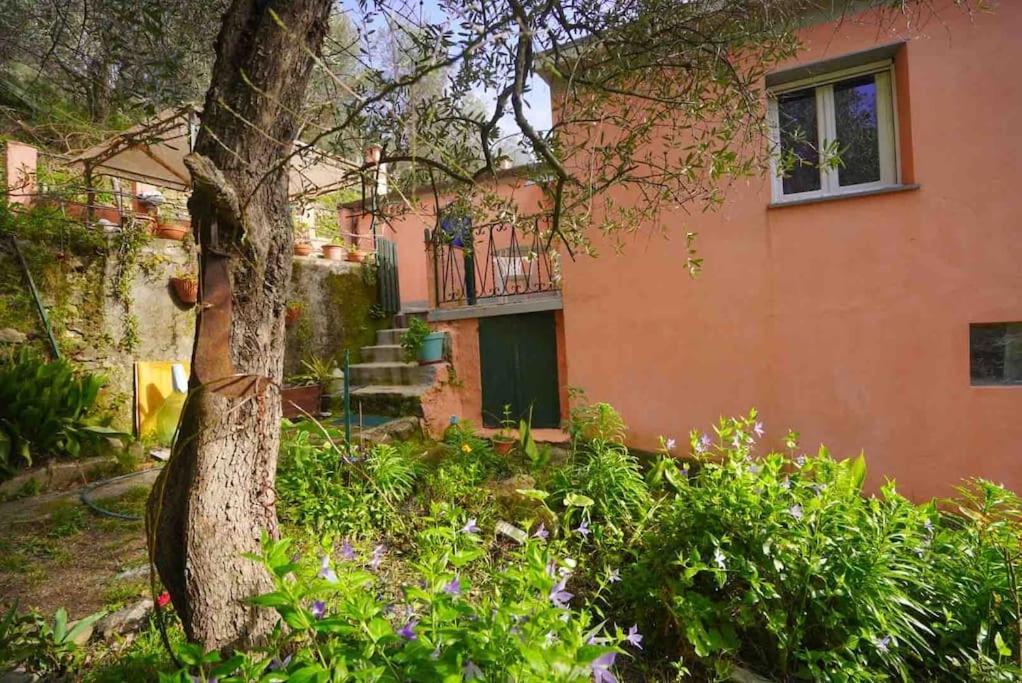 La Gaiada Villa Monterosso al Mare Exterior foto