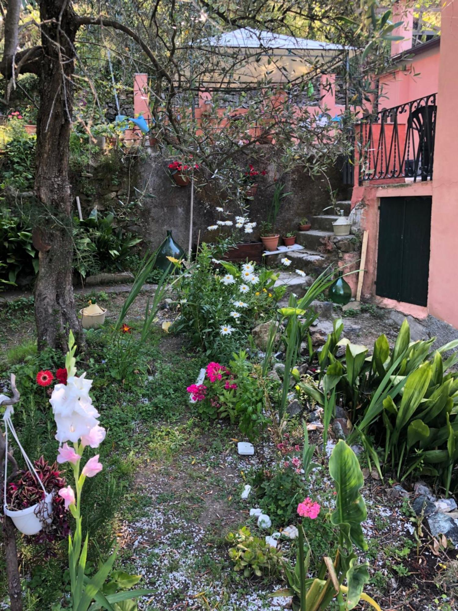 La Gaiada Villa Monterosso al Mare Exterior foto